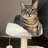 Fabia 33" H Cat Tree
