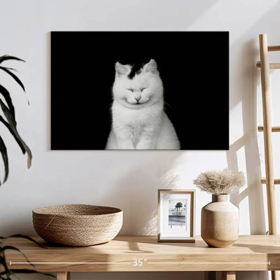 Brampt Delighted White Cat