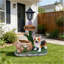 Jardinière Corgi Dog
