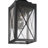Zendy Wall Light