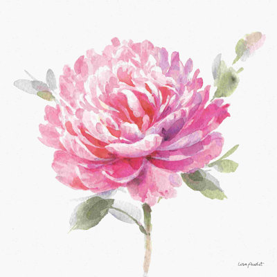 De toute évidence rose 03A