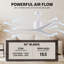 Eliza Outdoor Downrod Ceiling Fan-209975077-210241865