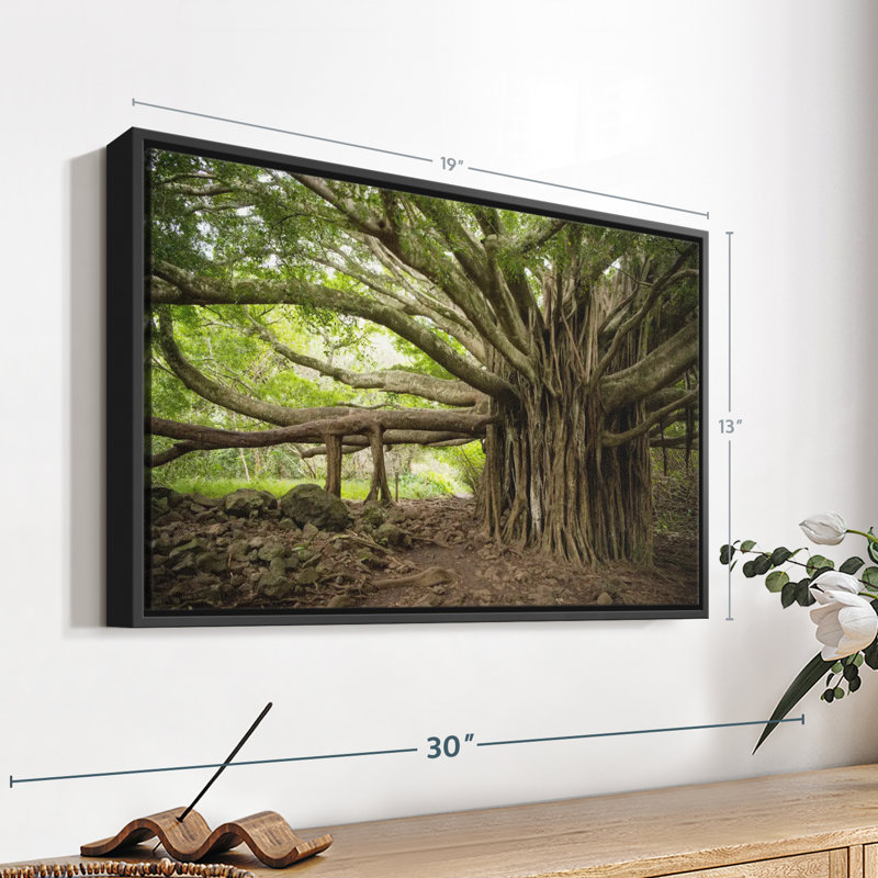 Impression sur toile Banyan Tree, H 13 po x l 19 po