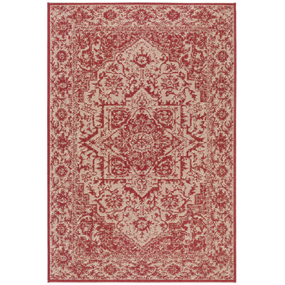 Donivin 100 Performance Oriental Indoor/Outdoor Area Rug