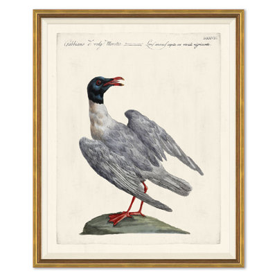 Odd Birds Giclee Print