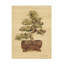 Art sur toile «boli Cheri Blum Bonsai I»-105629579