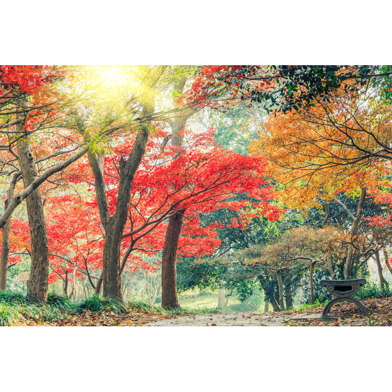 Autumn Landscape by Zhaojiankang - Wrapped Canvas Print, 30cm H x 46cm W x 3.8cm D