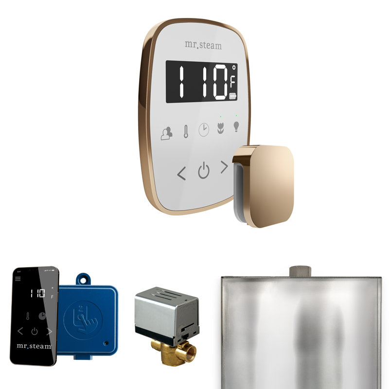 Ensemble de commande de douche à vapeur ButlerFlex avec contrôle TempoFlex et tête de vapeur , Blanc / or poli