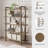 Laroya Bookcase