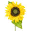 Jet de tournesol artificiel