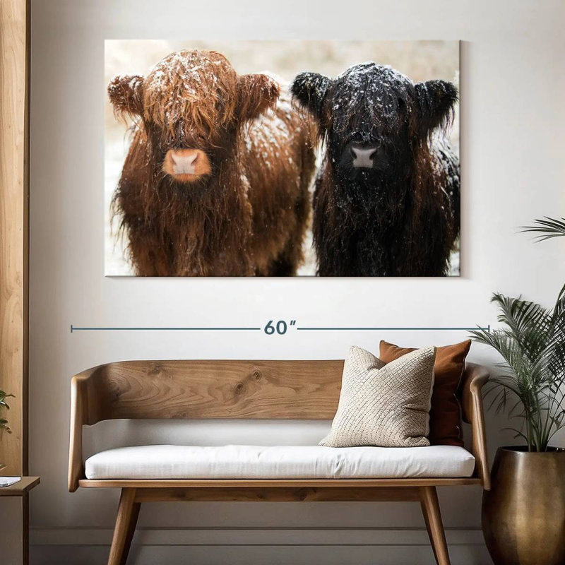 Brampt Hairy Highland Cows, 34" H x 51" W