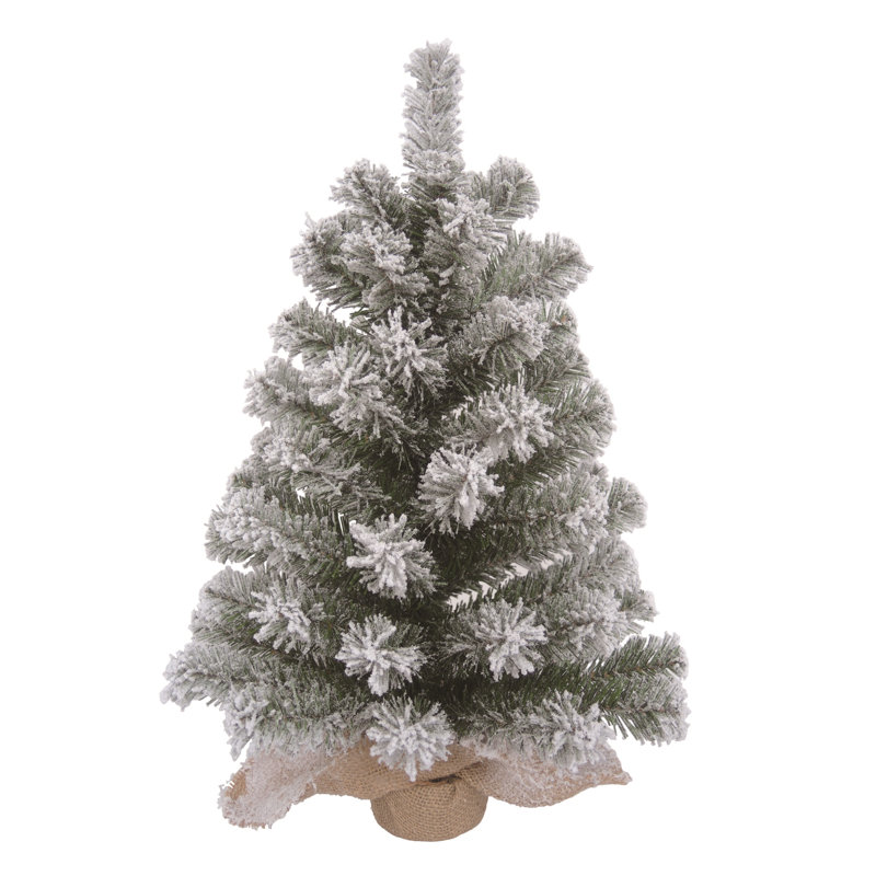 Arbre de Noël Habibatou, Colorado, 2'