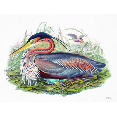 " Goulds Coastal Bird II "