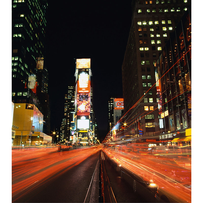 Pigott 0.34m x 99cm 1 Piece Wall Mural