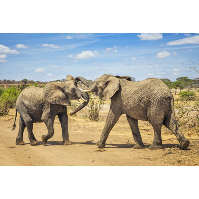 Paire d'éléphants d'Afrique par Cinoby