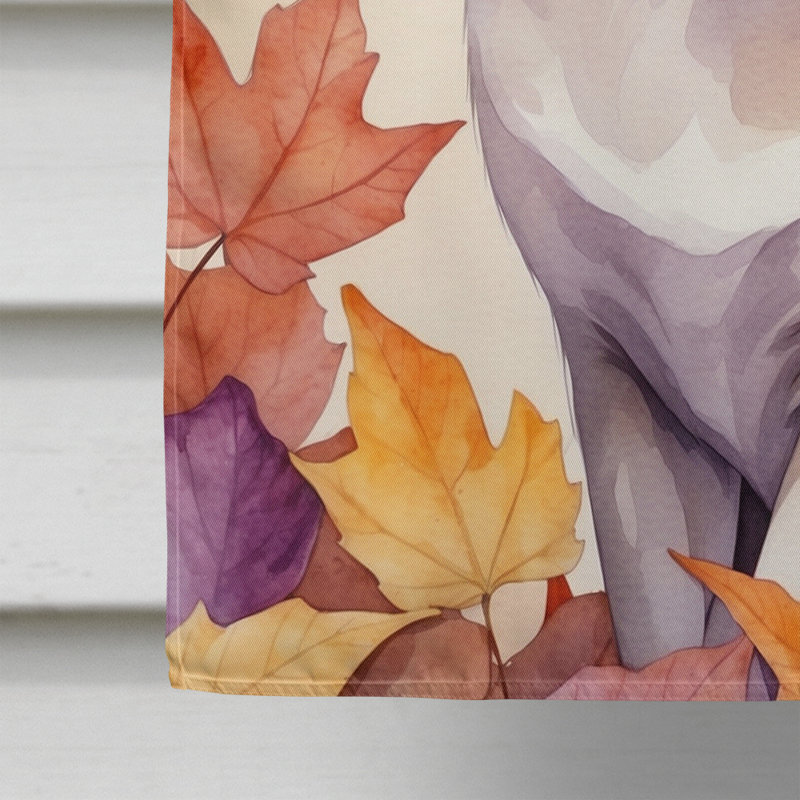 Chat en feuilles d'automne, Thaï lilas