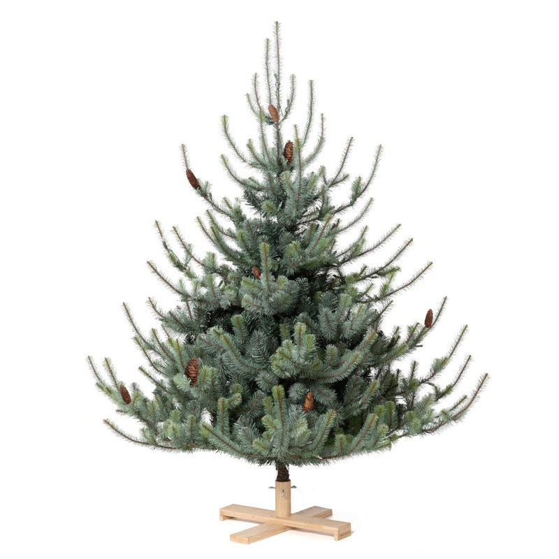 Lighted Christmas Tree
