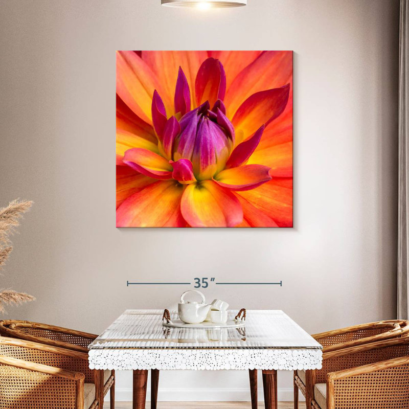 Harnek Blooming Dahlia