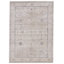 Tapis oriental gris Dili-1706740412