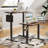 Radke Adjustable Standing Desk-781739307-781739304