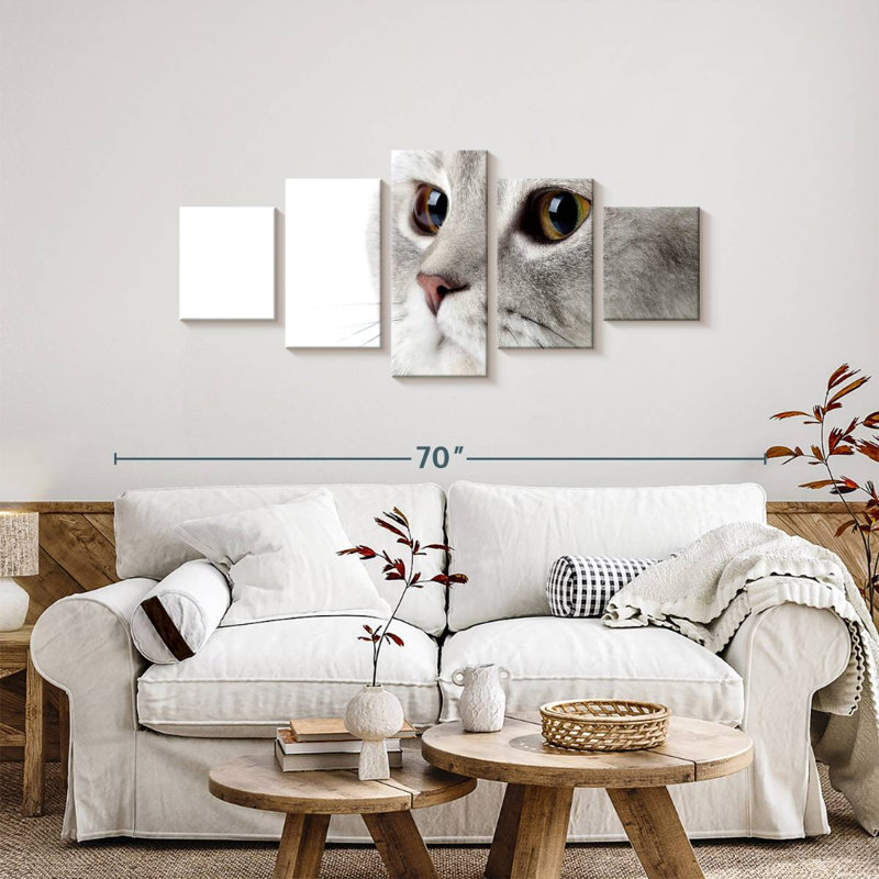 Chat gris moelleux, H 24 po x l 55 po