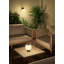 Ice Cream Wall Sconce. (US)