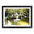 Black Framed