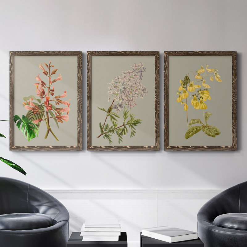 Botanical Array I - ensemble de 3 peintures sur toile encadrées, Noyer, H 31,5 po x l 47 po x P 1,5 po