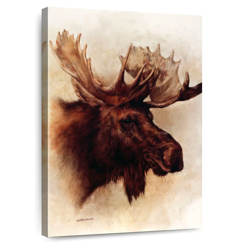 Brampt A Moose Portrait, 51" H x 34" W