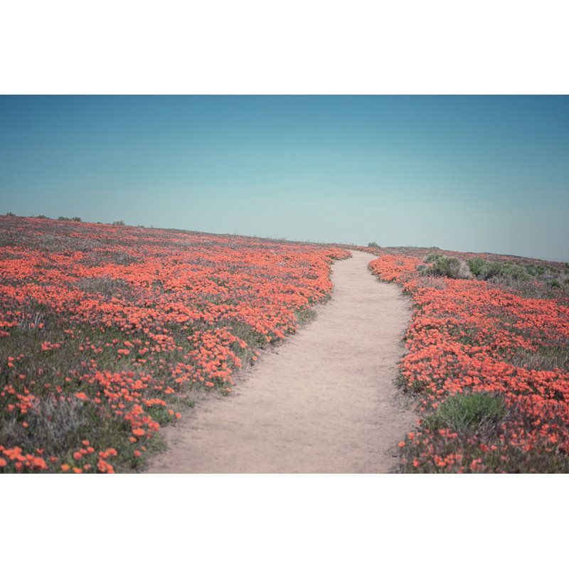 California Blooms IV, H 12 po x l 18 po, Non, Cadre photo noyer