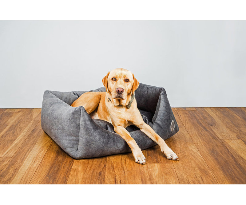 Velour Pet Bed, 24cm H x 60cm W x 52cm D, White