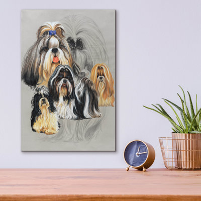 " Shih Tzu " by Barbara Keith