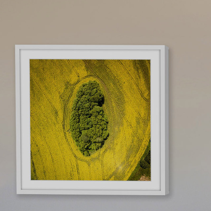 Single Picture Frame Print, 51 cm H x 51 cm W x 3.81 cm D