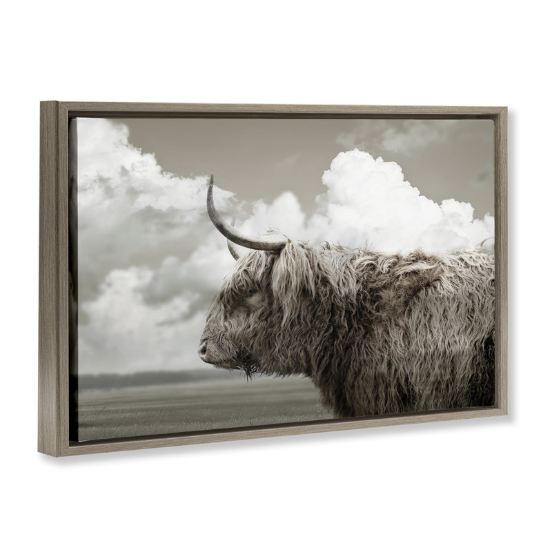 Longhorn vue de bovins et de nuages, H 17 po x l 25 po, Cadre flottant orme Montalcino