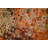 Premium Woven Carpet, 2.6 x 4.0 Feet | 100% Polyester, Antibacterial, Non-Slip Underside | 3D Digital Printing, Machine Washable, Pile Height: 0.04 in | Ideal for Living Room, Bedroom, and Home Decor-357244198