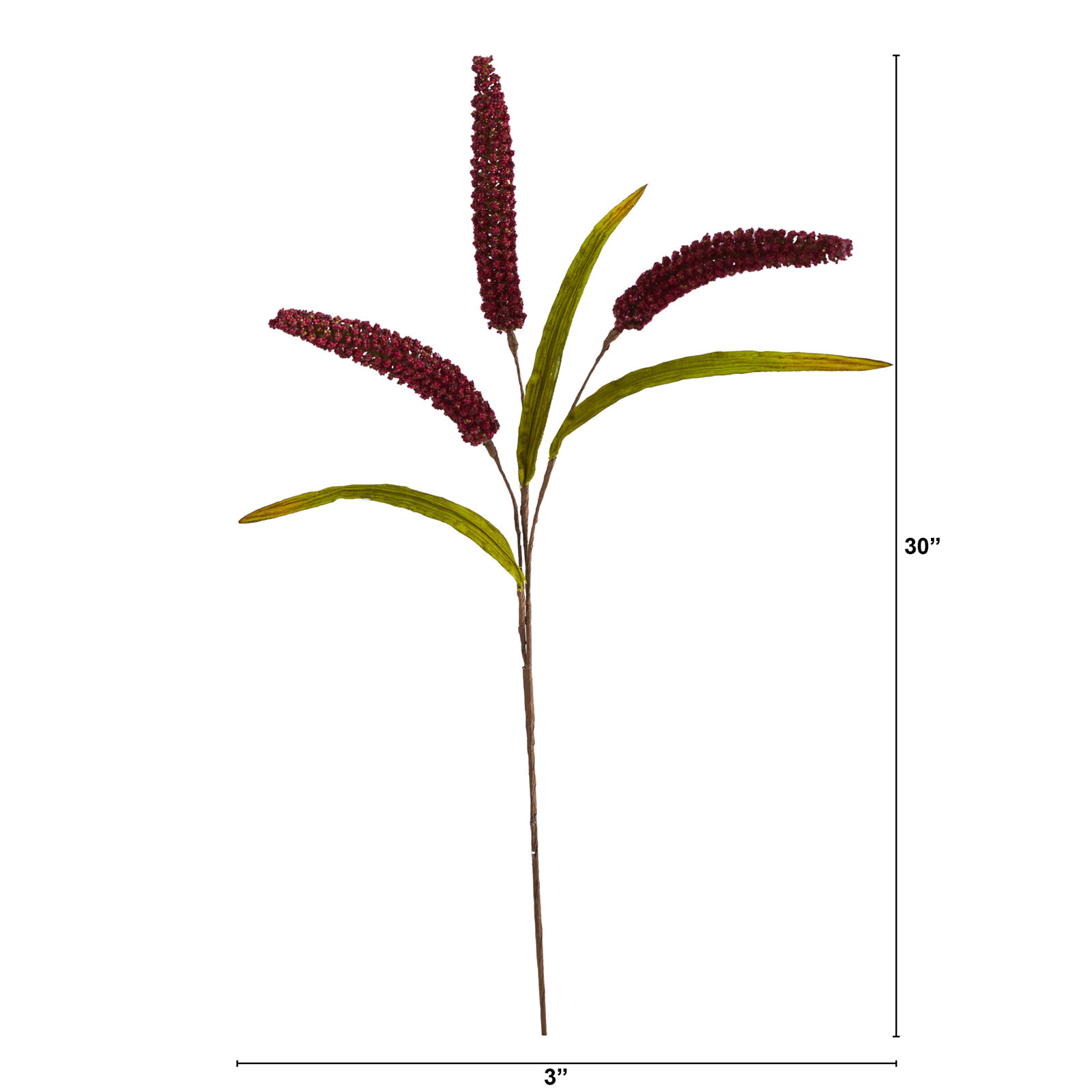 Sorghum Floral Stems, Burgundy