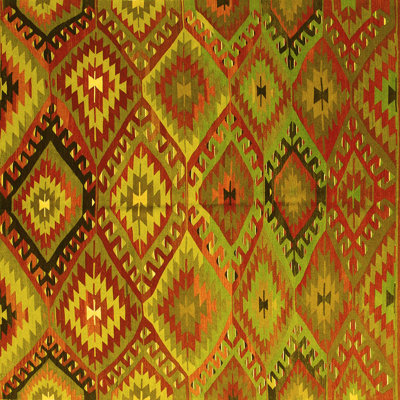Iacov Performance Southwestern Indoor Rug