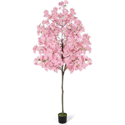 Cerisier en fleurs rose 5,9 pi