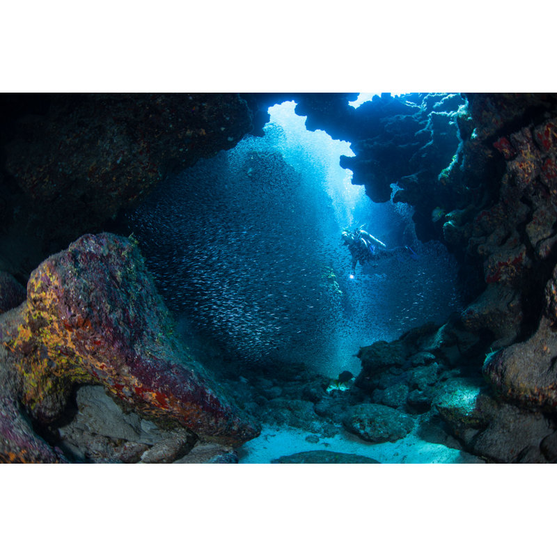 Undewater Cavern - Photographie sur toile tendue, H 12 po x l 18 po
