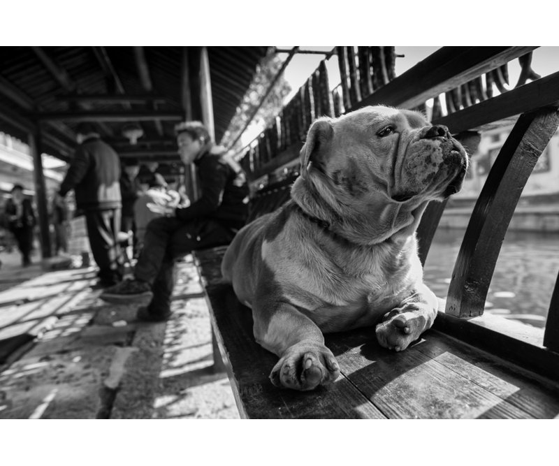 Wrapped Canvas Print, 121.92 cm H x 81.28 cm W