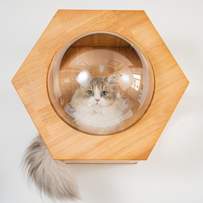 Solid Wood Wall-Mounted Hexagon Cat Bubble House