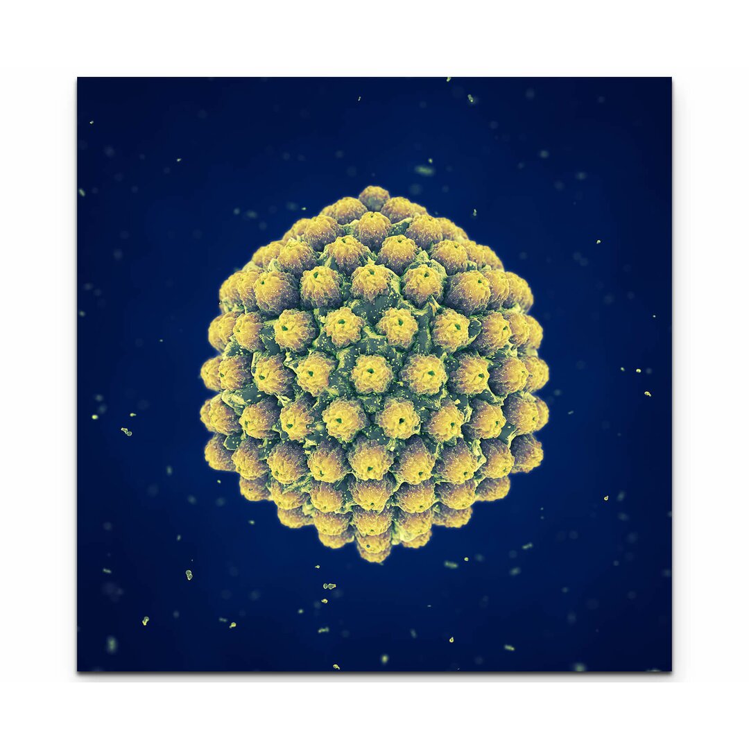 Leinwandbild Herpes Virus – 3D Illustration