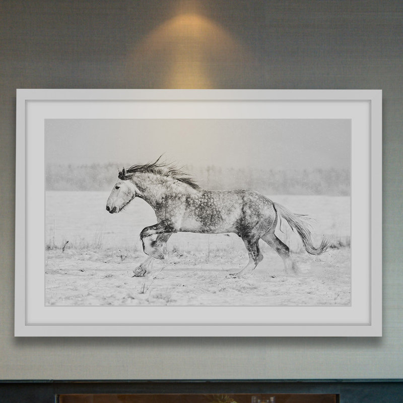« galloping joy », reproduction de photo sur papier encadrée, H 20 po x l 30 po x P 1,5 po