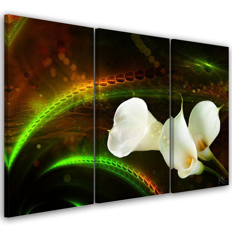 White Flower On A Brown Background - 3 Piece Wrapped Canvas Print Set, 80cm H x 120cm W