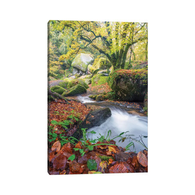 Foret De Huelgoat En Bretagne 1 Piece Wrapped Canvas Wall Art