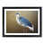 Black Framed selected