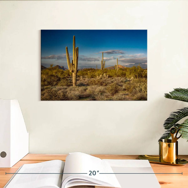 Harnek Arizona Desert Cactus, H 8 po x l 12 po