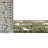 Outdoor Ayton Area Rug Green Color-71271145