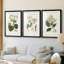 Antique Turpin Botanical IV - reproduction sur mesure encadrée de qualité supérieure - 3 pièces-1991839039-1991838977