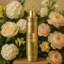 Oils & Scents